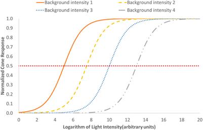 New prospectives on light adaptation of visual system research with the emerging knowledge on non-image-forming effect